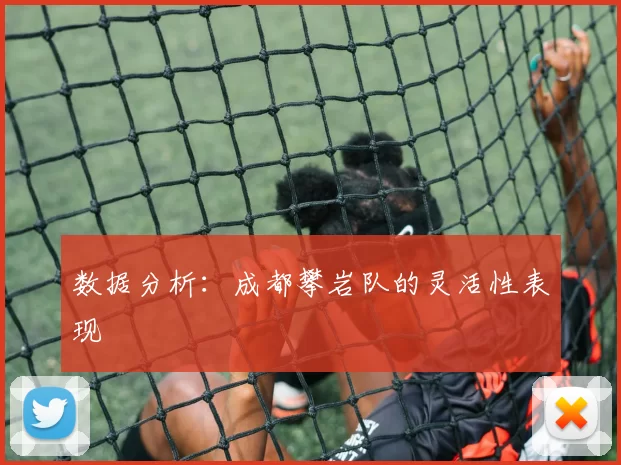 数据分析：成都攀岩队的灵活性表现