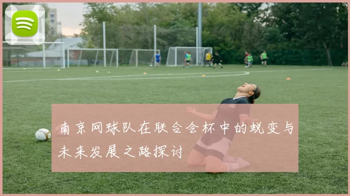南京网球队在联合会杯中的蜕变与未来发展之路探讨